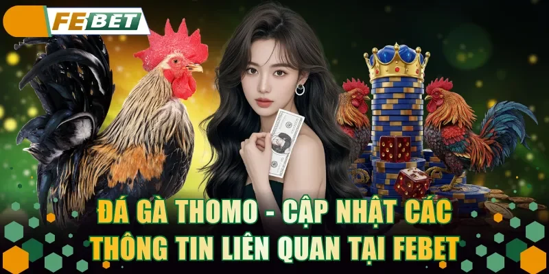 Đá gà Thomo