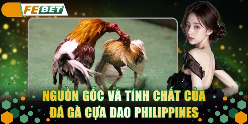 Nguồn gốc và tính chất của đá gà cựa dao Philippines