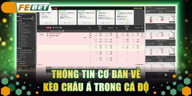 Thông tin cơ bản về kèo Châu Á trong cá độ