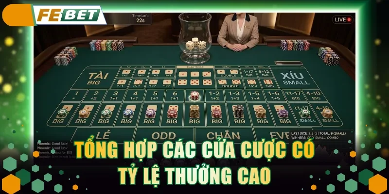 Tổng hợp các cửa cược có tỷ lệ thưởng cao